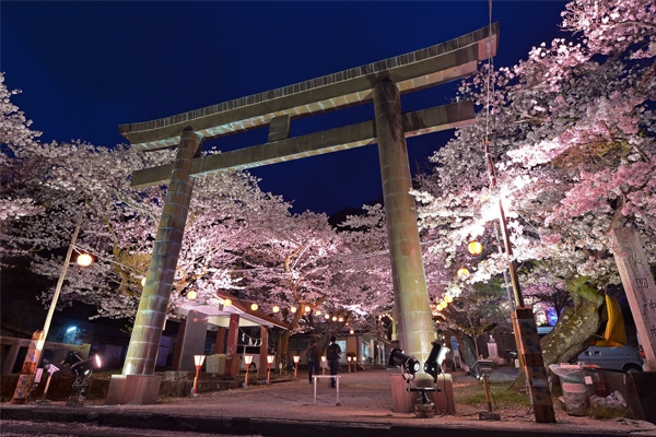夜桜ライトアップ21 鬼怒川温泉あさやホテル 公式