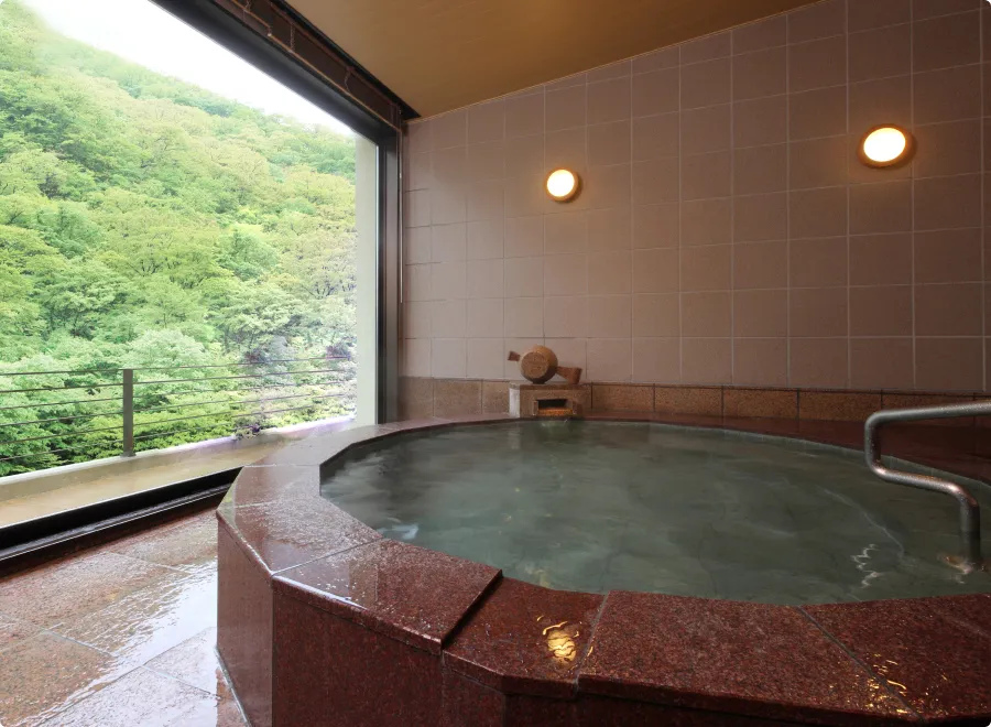 写真:隠笠(かくれがさ)1