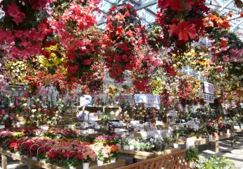 写真:日光・鬼怒川温泉周辺1