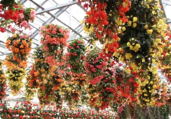 写真:日光・鬼怒川温泉周辺2